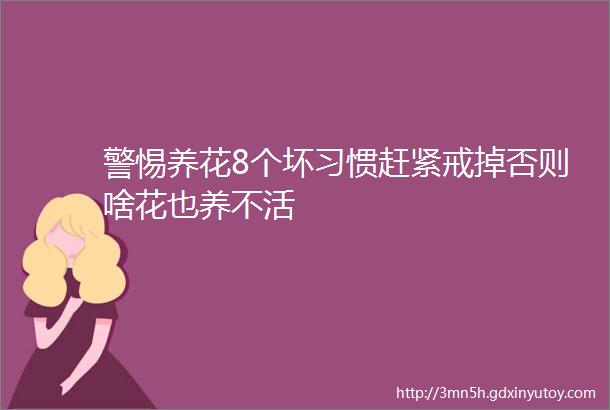 警惕养花8个坏习惯赶紧戒掉否则啥花也养不活