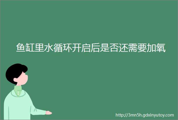 鱼缸里水循环开启后是否还需要加氧