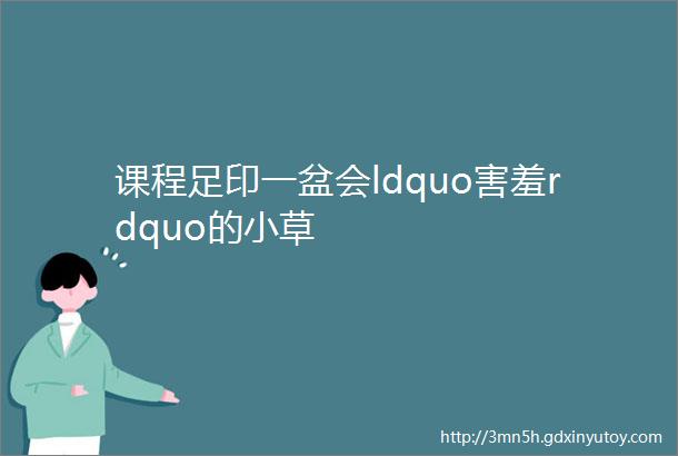 课程足印一盆会ldquo害羞rdquo的小草